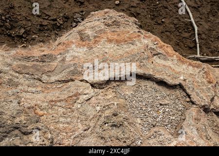 Area geotermica di Alolabad in Etiopia con surreale paesaggio di sorgenti calde colorate, fumarole fumanti e geyser di sale caldo in eruzione in un arido Foto Stock