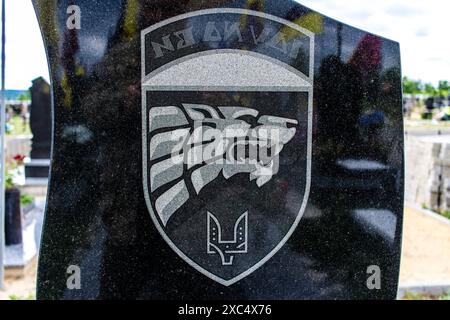 Charkiv, Ucraina, 13 giugno 2024 Aleya Slavy, cimitero militare a sud di Charkiv. Qui riposano i soldati, gli eroi che hanno difeso l'Ucraina. Foto Stock