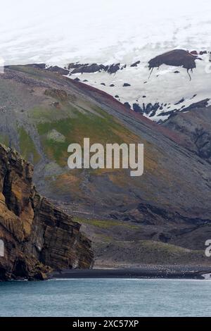 Baily Head, Deception Island, Isole Shetland meridionali, Penisola Antartica, Antartide Foto Stock