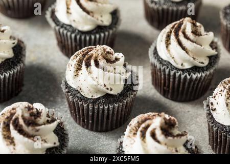 Biscotti al forno e Cupcakes con panna e glassa Foto Stock