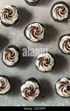 Biscotti al forno e Cupcakes con panna e glassa Foto Stock