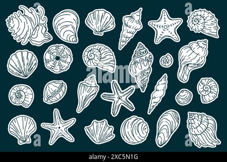 Set di simpatici adesivi di conchiglie marine. Collezione alla moda di conchiglie in stile doodle. Molluschi acquatici sottomarini conchiglie conchiglie oceaniche. Sul lato c'è una S. Illustrazione Vettoriale