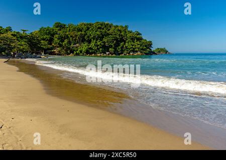 Splendida spiaggia di Castelhanos a Ilhabela circondata da foresta e mare Foto Stock