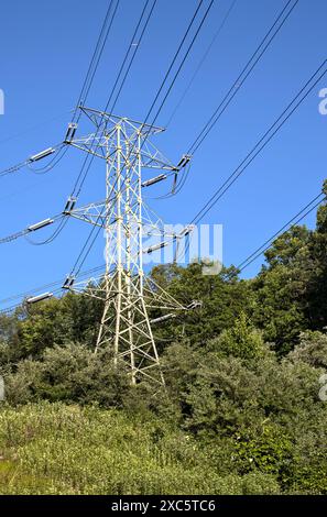 il traliccio elettrico della linea elettrica della torre sul trasformatore del convertitore fornisce elettricità alle comunità rurali degli stati uniti stati uniti america Foto Stock