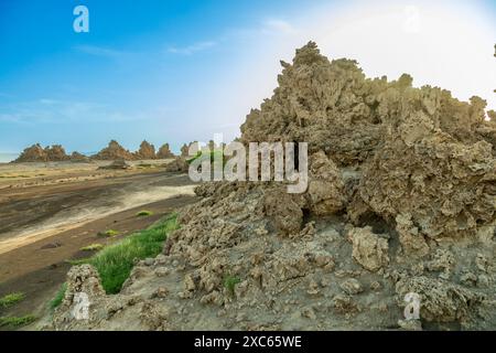 Antichi camini formazioni rocciose minerali sul fondo secco del lago salato Abbe, regione di Dikhil, Gibuti Foto Stock