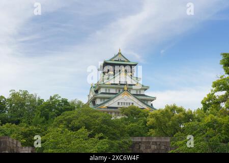 Bellissimo e tradizionale castello giapponese di osaka, incorniciato da lussureggianti alberi verdi e fogliame in Giappone Foto Stock