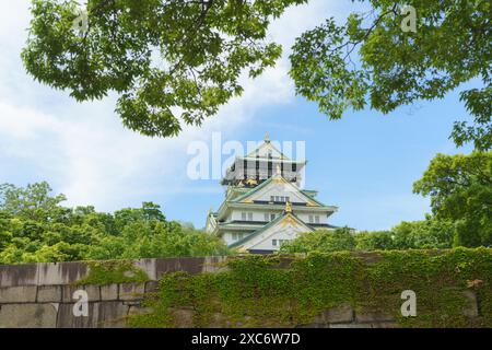 Bellissimo e tradizionale castello giapponese di osaka, incorniciato da lussureggianti alberi verdi e fogliame in Giappone Foto Stock