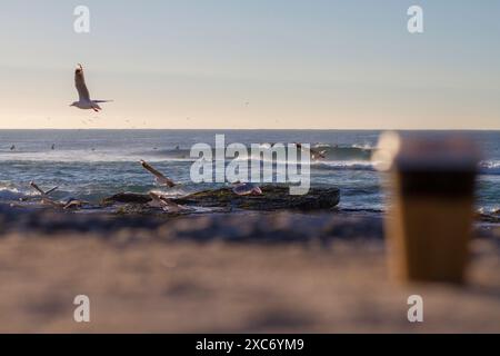 Caffè di prima mattina con spiaggia, gabbiani e surfisti sullo sfondo Foto Stock