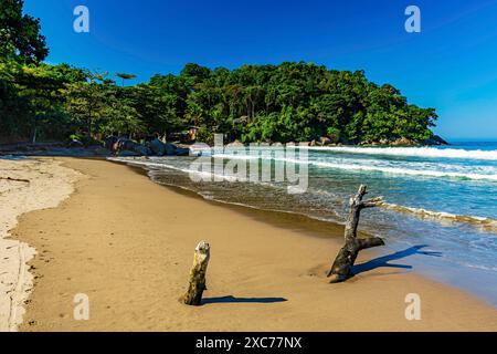 Spiaggia e mare di Castelhanos, foresta e montagne sull'isola di Ilhabela a San Paolo, spiaggia di Castelhanos, Ilhabela, San Paolo, Brasile Foto Stock