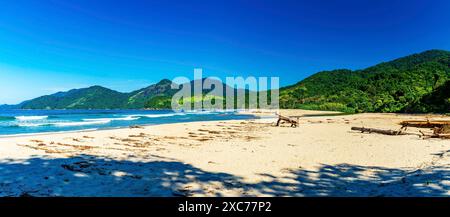 La spiaggia di Castelhanos tra il mare, le montagne e le foreste dell'isola di Ilhabela sulla costa di San Paolo, la spiaggia di Castelhanos, Ilhabela, San Paolo Foto Stock