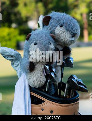 Pinehurst, North Carolina, Stati Uniti. 14 giugno 2024. La testa di Groundhog copre la borsa di Martin Kaymer della Germania durante il secondo round di venerdì per il 124esimo U.S. Open, 14 giugno 2024, al Pinehurst Resort & Country Club (corso n. 2) a Pinehurst, Carolina del Nord. (Credit Image: © Timothy L. Hale/ZUMA Press Wire) SOLO PER USO EDITORIALE! Non per USO commerciale! Foto Stock