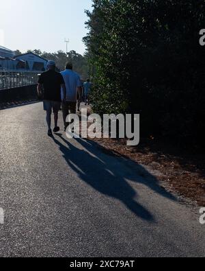 Pinehurst, North Carolina, Stati Uniti. 14 giugno 2024. I tifosi fanno una passeggiata mattutina fino alle nove retrovie durante il secondo turno di venerdì per il 124esimo U.S. Open, 14 giugno 2024, al Pinehurst Resort & Country Club (corso n. 2) a Pinehurst, North Carolina. (Credit Image: © Timothy L. Hale/ZUMA Press Wire) SOLO PER USO EDITORIALE! Non per USO commerciale! Foto Stock