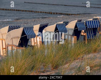 Fila di sdraio su una spiaggia erbosa al tramonto, zingst, Mar baltico, germania Foto Stock