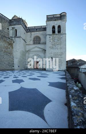 Chiesa gotica Saint-Sauveur, pavimento, motivo, pavimento mosaico, St, Grignan, Drome, Tricastin, Provenza, Francia Foto Stock