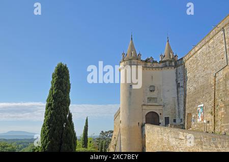 Torri gemelle storiche con bastioni all'ingresso del castello, fortificazioni cittadine, cipresso, Grignan, Drome, Tricastin, Provenza, Francia Foto Stock