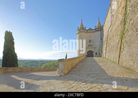 Torri gemelle storiche con bastioni all'ingresso del castello, fortificazioni cittadine, cipresso, Grignan, Drome, Tricastin, Provenza, Francia Foto Stock