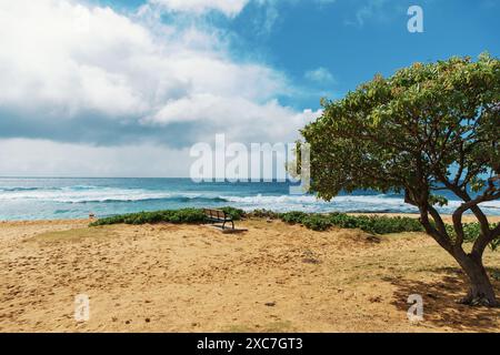 In prima linea, un albero si erge alto sulla spiaggia di sabbia, mentre il vasto oceano si estende sullo sfondo, creando un tranquillo paesaggio naturale Foto Stock