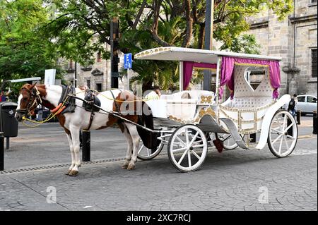 GUADALAJARA, JALISCO, MESSICO: Le carrozze trainate da cavalli sono disponibili per le corse dalla Plaza de Armas in zona Centro, Guadalajara, Jalisco, Messico. Foto Stock