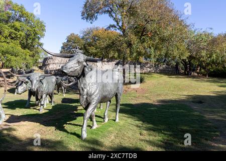 Dallas, USA - 7 novembre 2023: Scultura del bestiame longhorn che attraversa un ruscello al Pioneer Plaza di Dallas, Texas, USA. Foto Stock