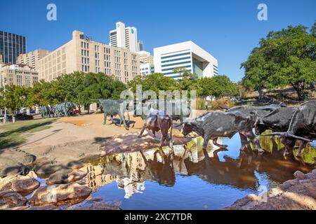 Dallas, USA - 6 novembre 2023: Scultura del bestiame longhorn che attraversa un ruscello al Pioneer Plaza di Dallas, Texas, USA. Foto Stock