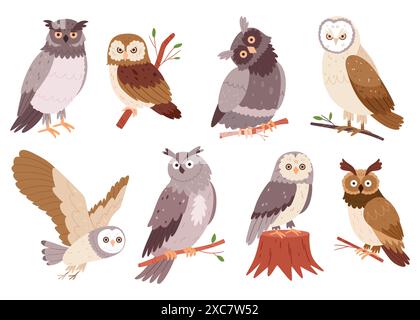 Set di gufi disegnati a mano. Uccelli selvatici della foresta. Creature volanti. Elementi per il libro di ornitologia. Design piatto. Illustrazione Vettoriale