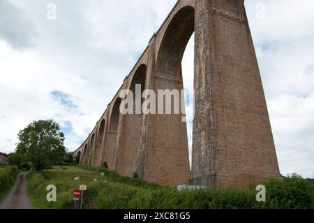 Mussy Viaduct, Mussy sous Dun, Saône-et-Loire; Bourgogne-Franca Contea; Francia orientale. Viadotto ferroviario costruito tra il 1892 e il 1895 per il Paray-le M. Foto Stock