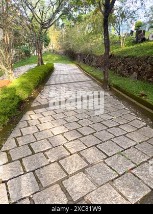 Sentiero che conduce al punto panoramico della diga di idukki, distretto di Idukki, Kerala Foto Stock