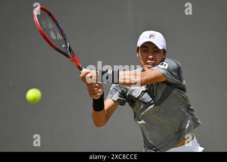 Stoccarda, Germania. 15 giugno 2024. Tennis: Tour ATP - Stoccarda, singoli, uomini. Nakashima (USA) - Draper (Gran Bretagna). Brandon Nakashima in azione. Crediti: Marijan Murat/dpa/Alamy Live News Foto Stock