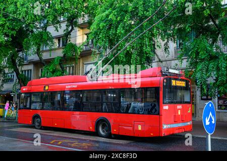 Un autobus elettrico per le strade piovose di Budapest, Ungheria Foto Stock