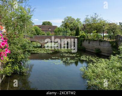 L'Old Culham Bridge sopra Abbey Stream, Abingdon-on-Thames, Oxfordshire Foto Stock