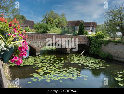 L'Old Culham Bridge sopra Abbey Stream, Abingdon-on-Thames, Oxfordshire Foto Stock