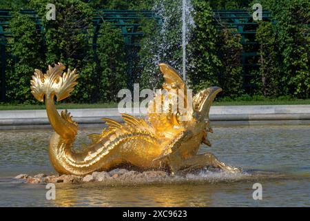 Petrodvorets, RUSSIA - 4 GIUGNO 2024: Mostro marino nella fontana in un giorno di giugno di sole. Frammento di una fontana nel Parco superiore del palazzo Peterhof Foto Stock