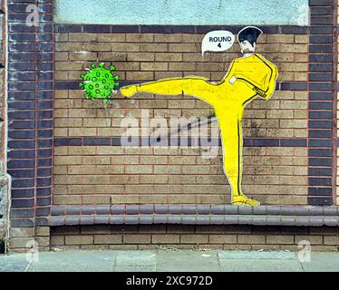 Glasgow, Scozia, Regno Unito. 15 giugno 2024: Influenza aviaria e coronavirus Art murale pre emozione della nuova pandemia con un messaggio di lancio. Credit Gerard Ferry/Alamy Live News Foto Stock