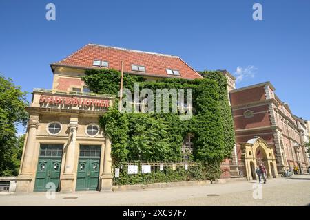 Stadtbibliothek, Carl-Schurz-Straße, Altstadt, Spandau, Berlino, Deutschland Foto Stock