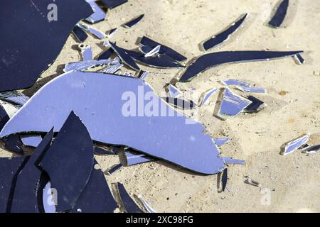 Dettaglio di vetro rotto gettato nella spazzatura, crimine Foto Stock