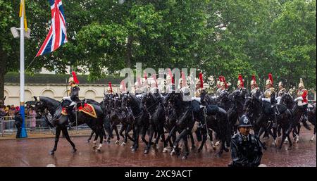 Londra Regno Unito 15 giugno 2024 - folla che fiancheggiano le strade e membri delle forze armate coraggiose piogge torrenziali nel Mall for the Trooping the Colour di Londra oggi . : Credit Simon Dack / Alamy Live News Foto Stock