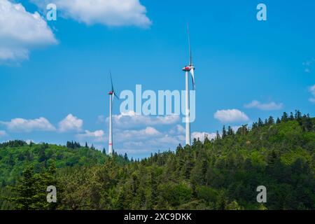 Germania, due gigantesche turbine eoliche nel verde bosco di foresta nera schwarzwald, che generano elettricità Foto Stock