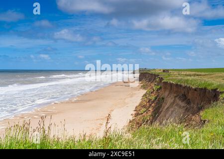 Una veduta di una scogliera che mette in risalto l'erosione costiera di Happisburgh nel Norfolk settentrionale, Regno Unito Foto Stock