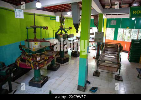 Geragama Estate Rd, Pilimathalawa, Sri Lanka. 10.02.23 l'interno di una fabbrica di tè. Macchine per asciugare e selezionare le foglie di tè Foto Stock