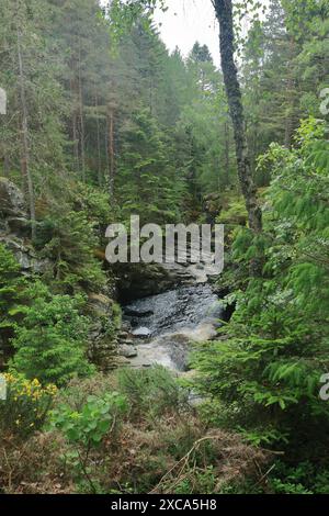 Le cascate di Bruar sono una serie di cascate sull'acqua di Bruar in Scozia. L'umile petizione di Bruar Water al nobile duca di Atholl. Foto Stock