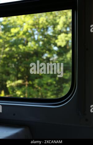 Vista sfocata degli alberi verdi attraverso la finestra del treno Foto Stock