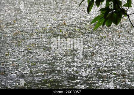 Pioggia che cade su uno stagno, May, Germania Foto Stock