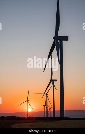 Parco eolico la Muela, Saragozza, Aragona, Spagna, Europa Foto Stock