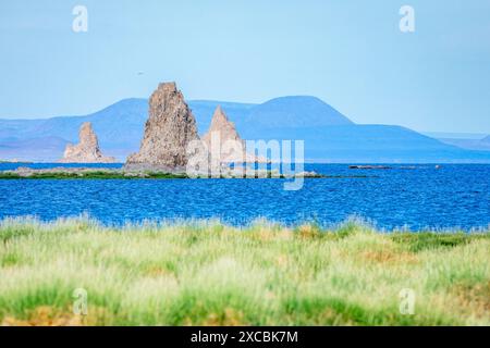 Camini preistorici calcarei formazioni rocciose geologiche nel mezzo del lago salato Abbe, regione di Dikhil, Gibuti Foto Stock