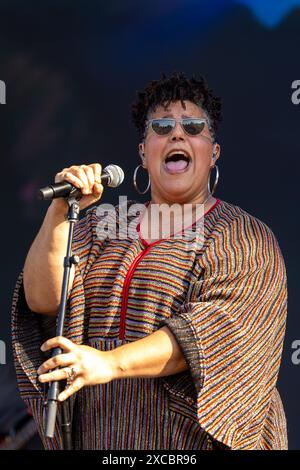 Brittany Howard durante il Bonnaroo Music and Arts Festival il 15 giugno 2024, a Manchester, Tennessee (foto di Daniel DeSlover/Sipa USA) Foto Stock