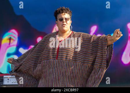 Brittany Howard durante il Bonnaroo Music and Arts Festival il 15 giugno 2024, a Manchester, Tennessee (foto di Daniel DeSlover/Sipa USA) Foto Stock