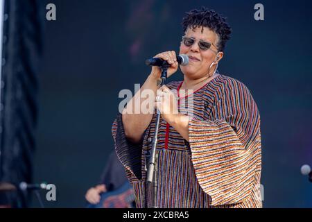 Brittany Howard durante il Bonnaroo Music and Arts Festival il 15 giugno 2024, a Manchester, Tennessee (foto di Daniel DeSlover/Sipa USA) Foto Stock