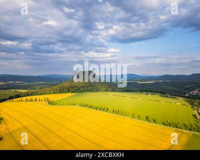 Sächsische Schweiz Der Lilienstein ist einer der markantesten Berge des Elbsandsteingebirges a Sachsen. Er ist der einzige rechtselbische Tafelberg und stellt das Symbol des Nationalparks Sächsische Schweiz dar. Königstein Sachsen Deutschland *** Svizzera sassone il Lilienstein è una delle montagne più suggestive dell'Elba in Sassonia è l'unica montagna da tavola sulla riva destra dell'Elba ed è il simbolo del Parco Nazionale della Svizzera sassone Königstein Sassonia Germania Lilienstein24 00478 Foto Stock