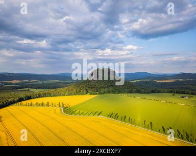 Sächsische Schweiz Der Lilienstein ist einer der markantesten Berge des Elbsandsteingebirges a Sachsen. Er ist der einzige rechtselbische Tafelberg und stellt das Symbol des Nationalparks Sächsische Schweiz dar. Königstein Sachsen Deutschland *** Svizzera sassone il Lilienstein è una delle montagne più suggestive dell'Elba in Sassonia è l'unica montagna da tavola sulla riva destra dell'Elba ed è il simbolo del Parco Nazionale della Svizzera sassone Königstein Sassonia Germania Lilienstein24 00475 Foto Stock