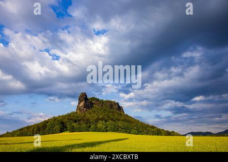 Sächsische Schweiz Der Lilienstein ist einer der markantesten Berge des Elbsandsteingebirges a Sachsen. Er ist der einzige rechtselbische Tafelberg und stellt das Symbol des Nationalparks Sächsische Schweiz dar. Königstein Sachsen Deutschland *** Svizzera sassone il Lilienstein è una delle montagne più suggestive dell'Elba in Sassonia è l'unica montagna da tavola sulla riva destra dell'Elba ed è il simbolo del Parco Nazionale della Svizzera sassone Königstein Sassonia Germania Lilienstein24 00470 Foto Stock